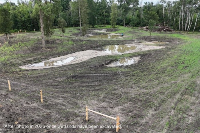 After photo in 2026 once wetlands have been excavated.