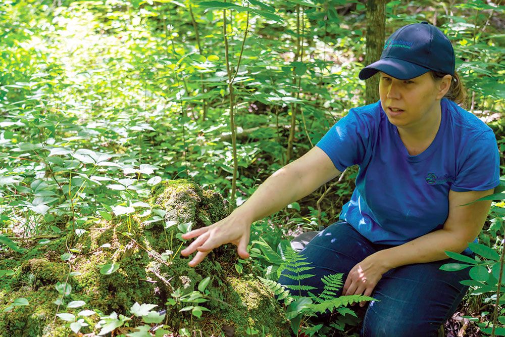 Erin Gouthro, watershed ecologist for Maitland Conservation, points out a baby tree nursery in woodlot outside Brussels. (Photo copyright The Wingham Advance Times/Midwestern Newspapers)