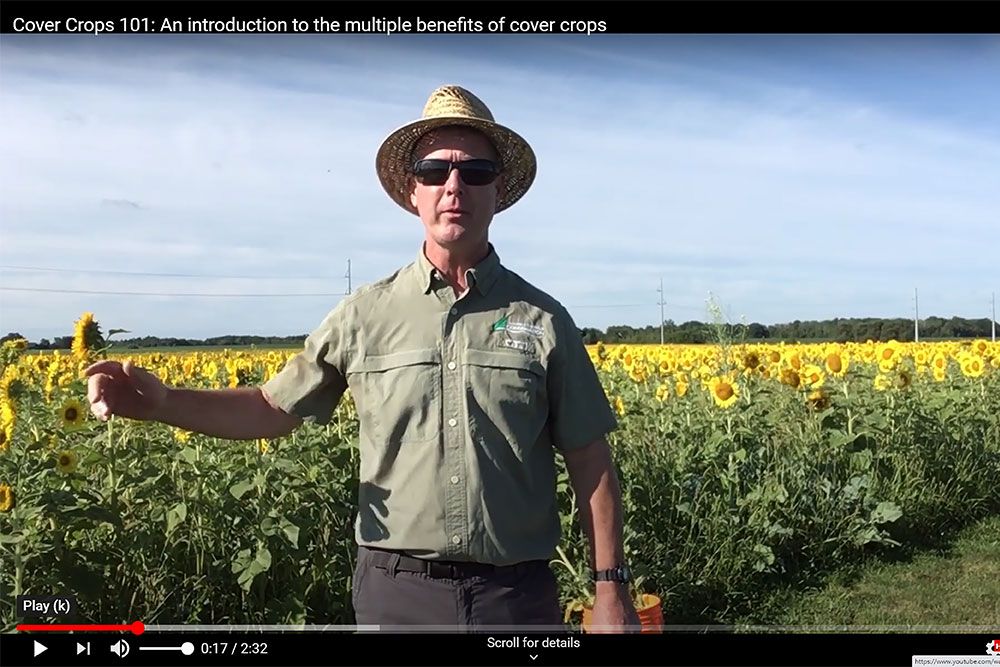 Cover_Crops_Ross_Wilson_Web.jpg