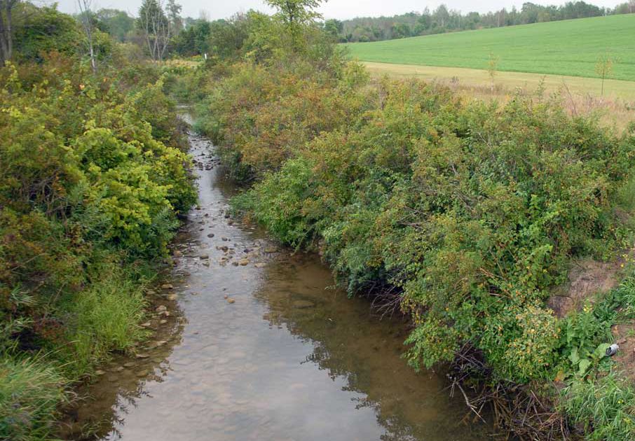 Financial, technical support to help improve stormwater management on urban and rural properties