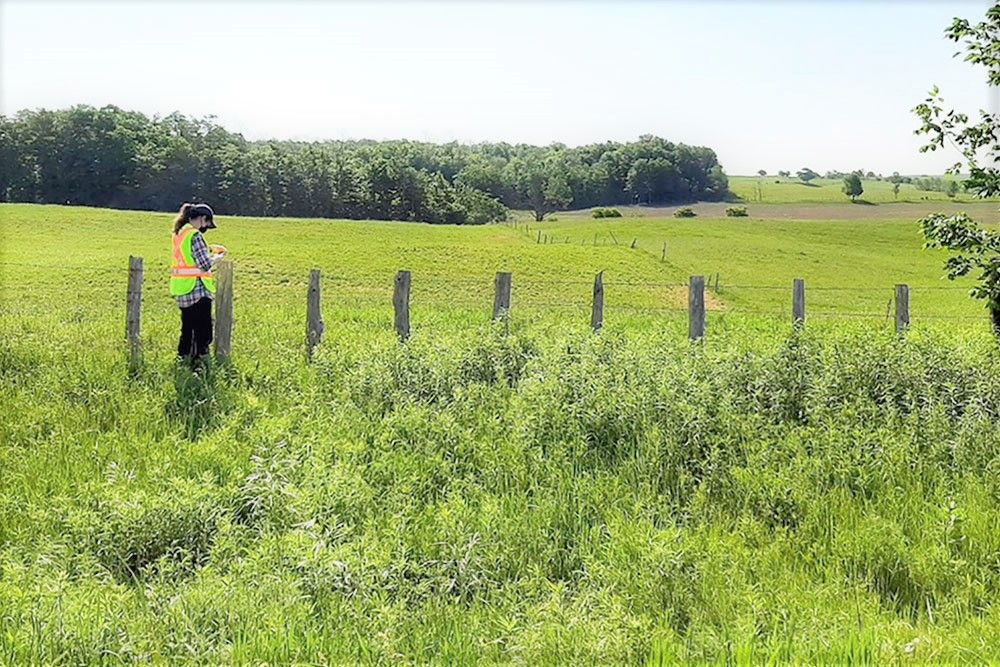 Verifying mapping work in the field.